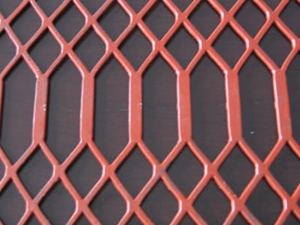 喷塑钢板网 (1)